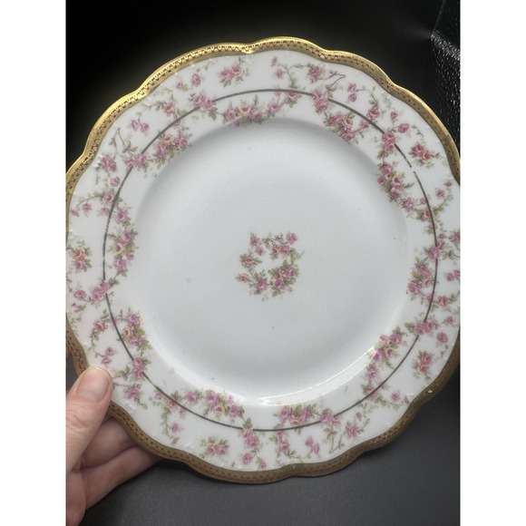 Antique Moritz Zdekauer M Z Austria Pink Rose Gold Dinner Plate 1884/909 9 Inch - Picture 5 of 6